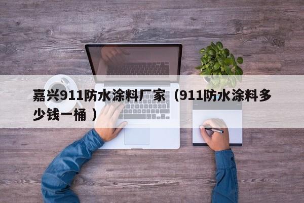 嘉兴911防水涂料厂家（911防水涂料多少钱一桶 ）