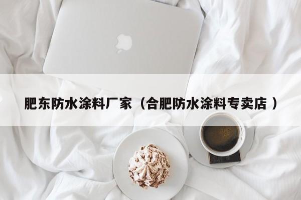 肥东防水涂料厂家（合肥防水涂料专卖店 ）