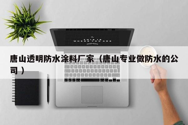 唐山透明防水涂料厂家（唐山专业做防水的公司 ）