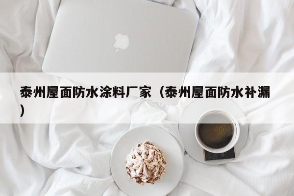 泰州屋面防水涂料厂家（泰州屋面防水补漏 ）