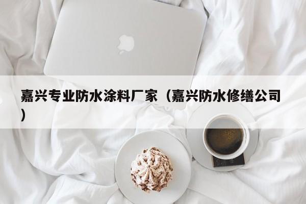 嘉兴专业防水涂料厂家（嘉兴防水修缮公司 ）