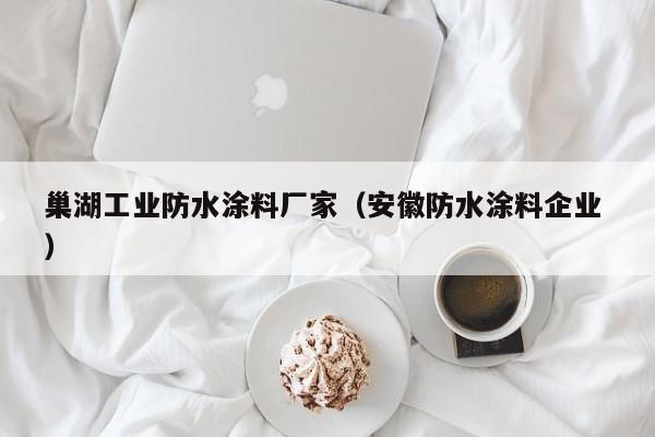 巢湖工业防水涂料厂家（安徽防水涂料企业 ）